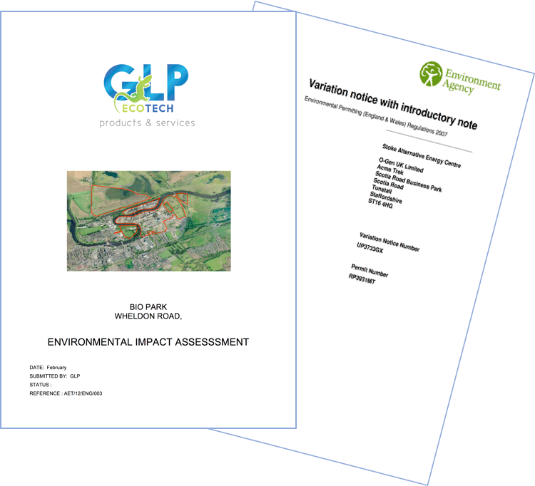 Professional project development support