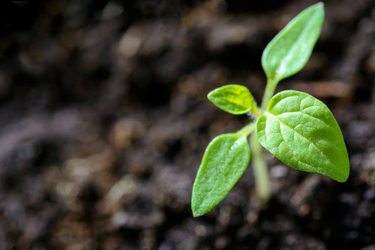 Sustainable solutions that turn waste and assets into value