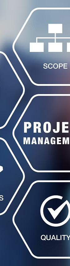 Project management, scope and quality process